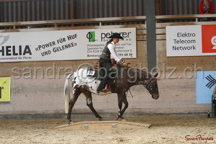 26-ApHC GT_107.jpg